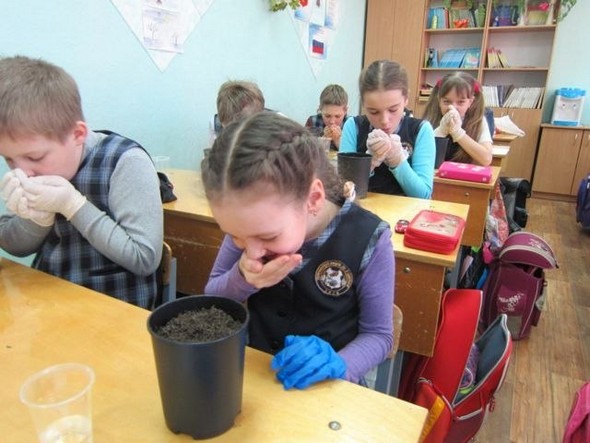 "эко-урок" в одной из школ Санкт Петербурга